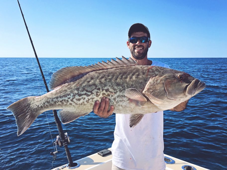 big grouper near cocoa beach