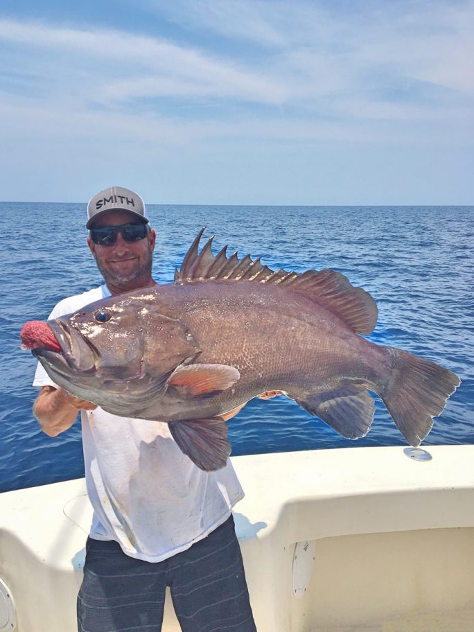 cape canaveral grouper