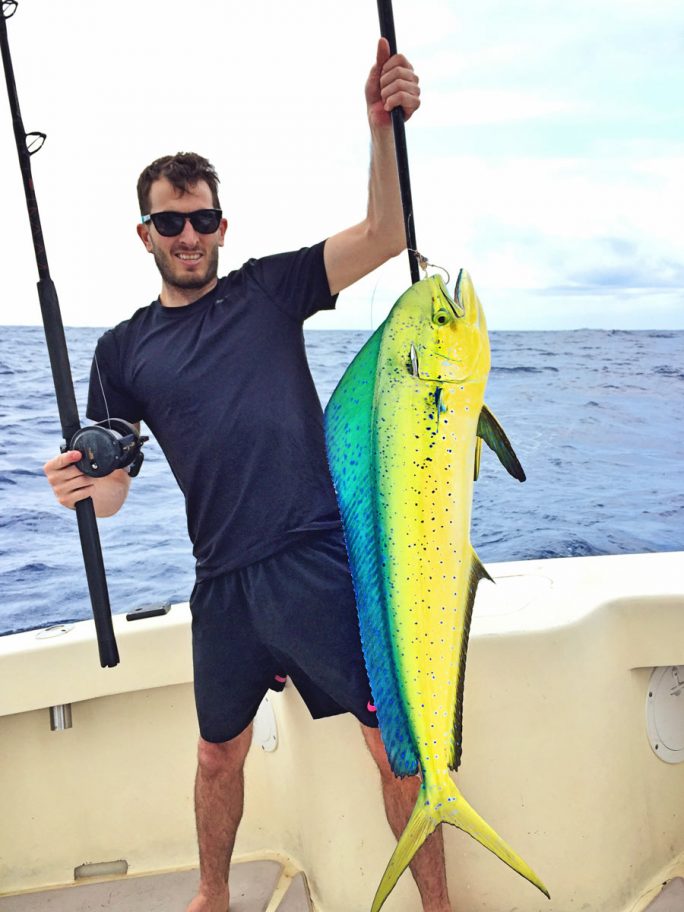colorful dorado