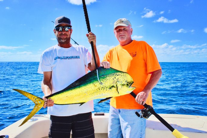 wow what a gorgeous dolphin fish