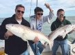 couple of nice red drum