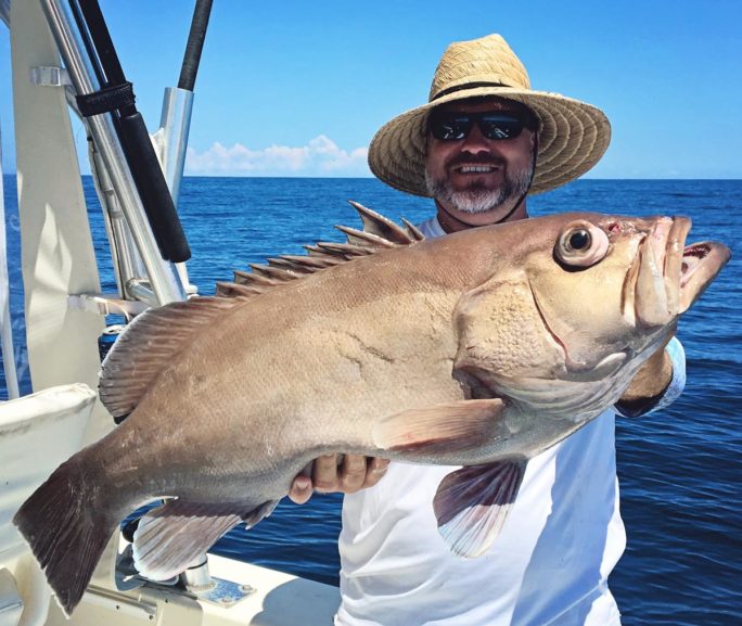deep dropping for snowy grouper