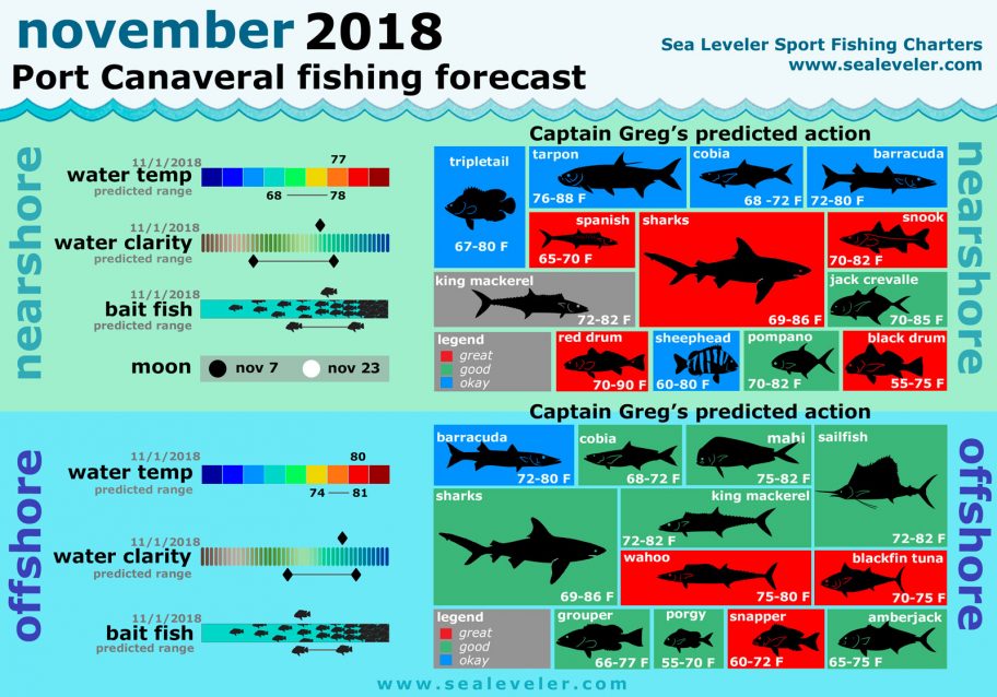November 2018 Fishing Report