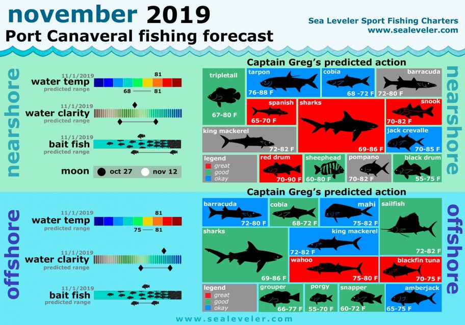 November 2019 Fishing Report