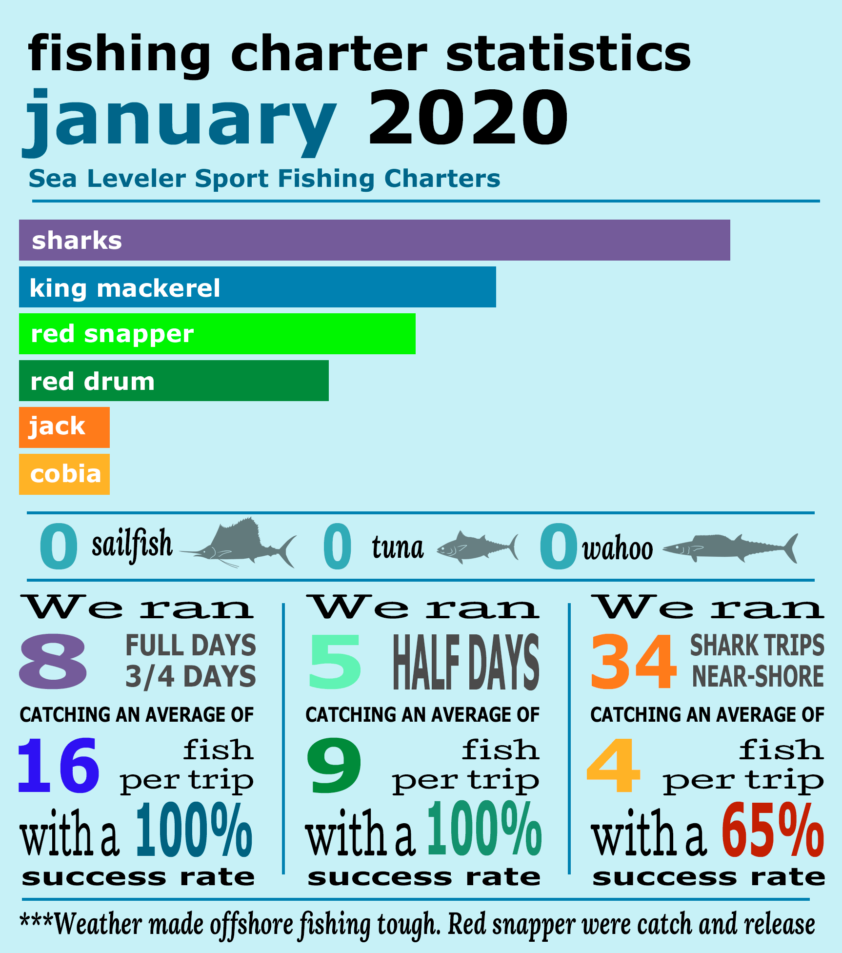Florida Charter Fishing Statistics Sea Leveler Sport Fishing Charters