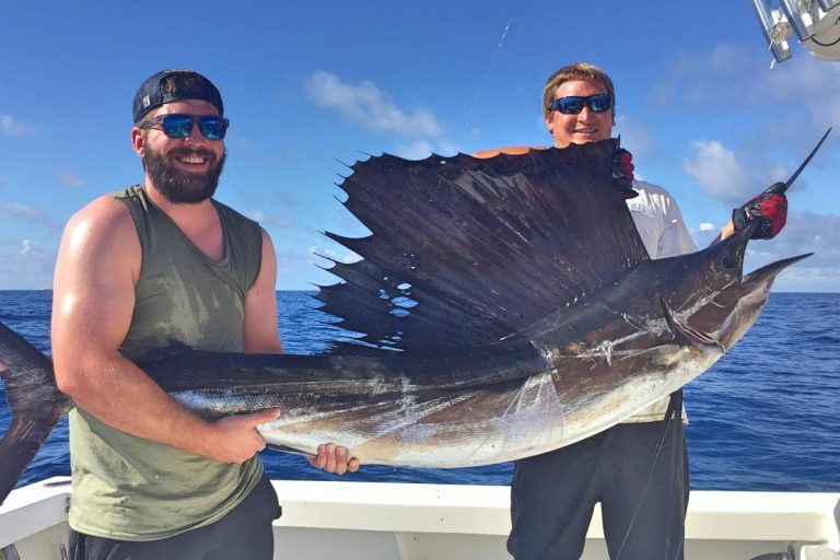 sailfish fishing daytona beach