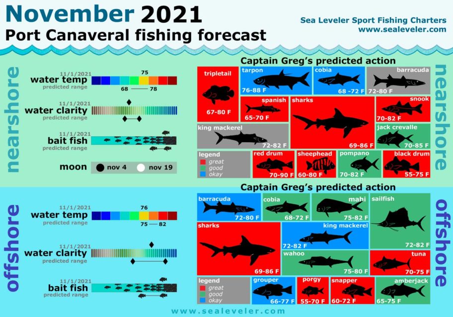 November 2021 Fishing Report