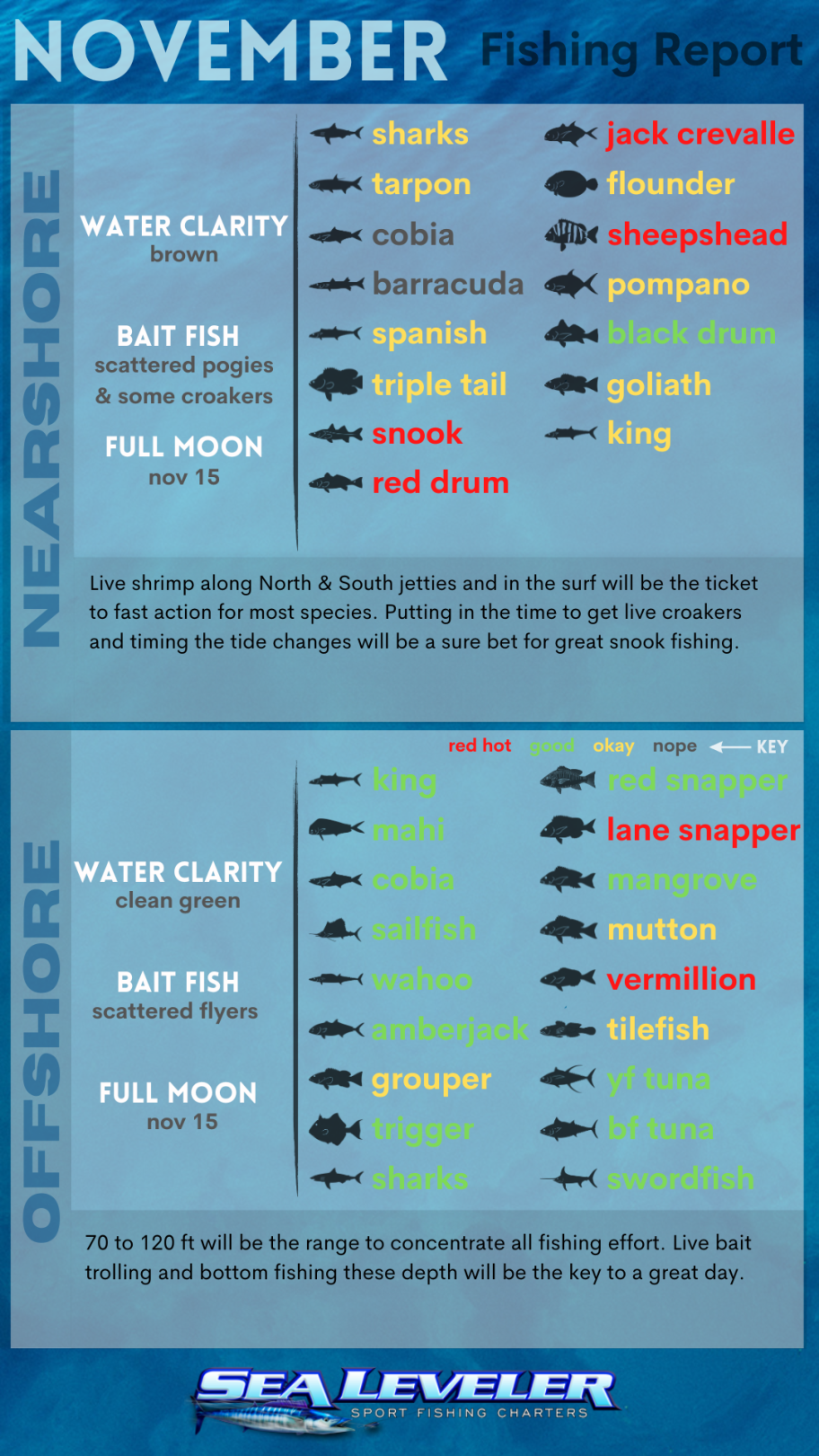 November 2024 fishing charters report