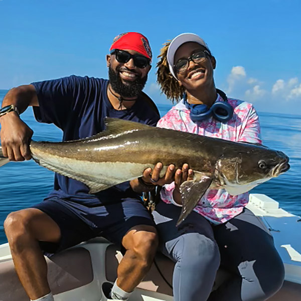 Cobia