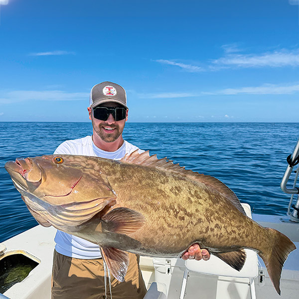 Grouper