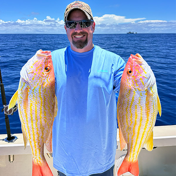 Lane Snapper