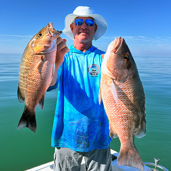 Mangrove Snapper