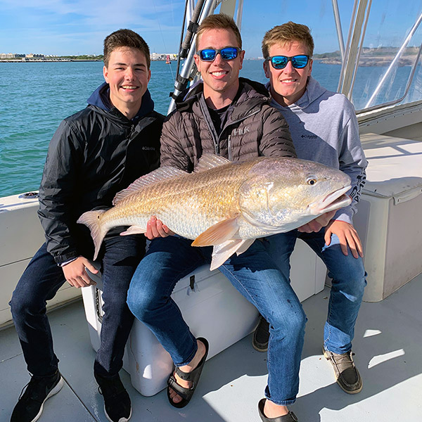 Red Drum